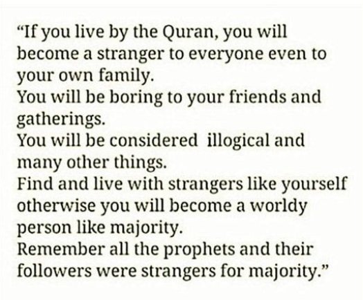 Arthur_R_00's tweet photo. If you thought Deen is easy and if you practicing it and it's not effecting anyone,
then you are wrong obviously.
It makes you stranger and enemy to your beloved ones,it makes you rebels 💔
Deen e islam is not a name of peace and never will be 💯
So see where do you stand .? https://t.co/ArJVqQVlX8