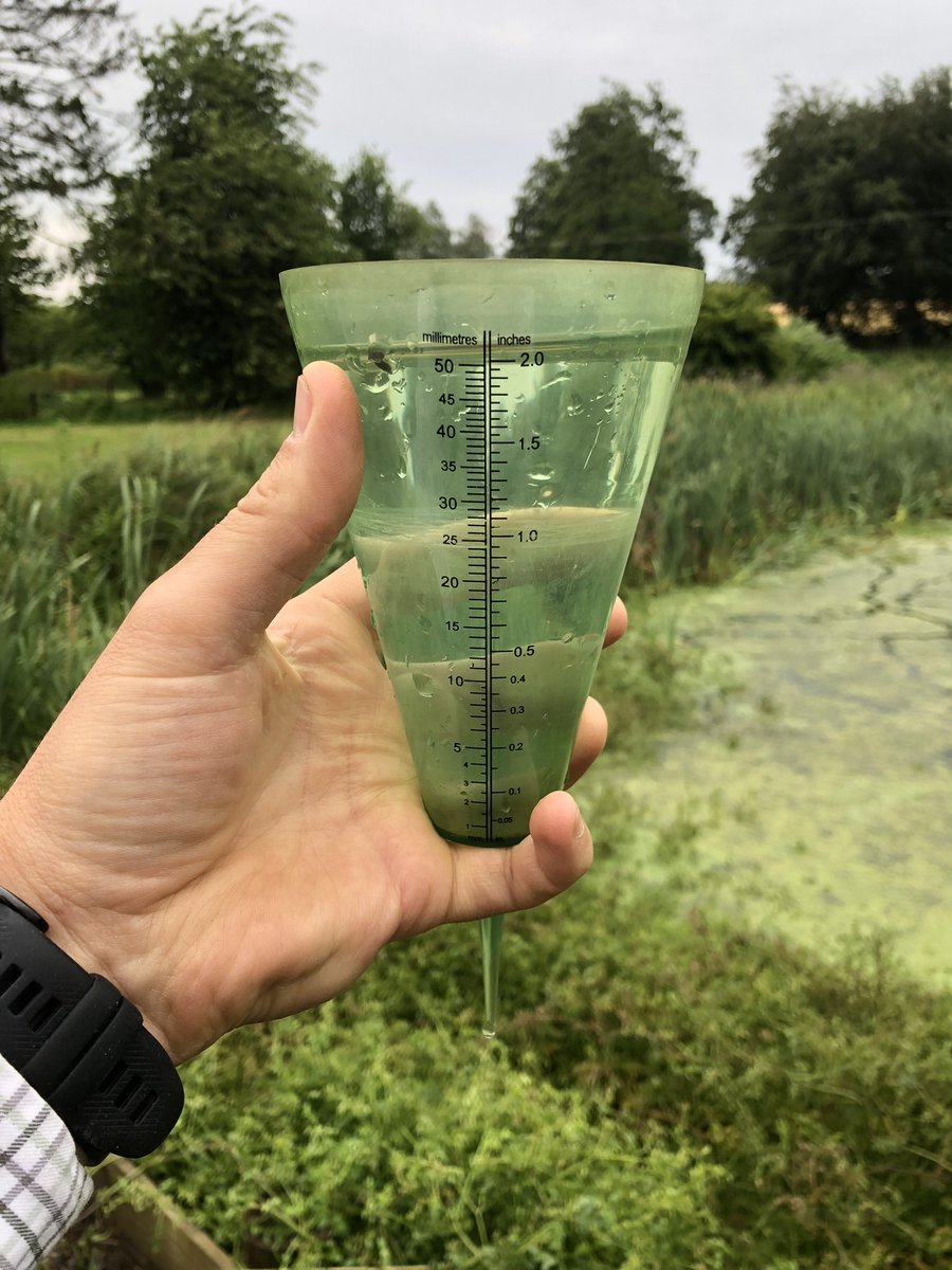 macfarlane_2's tweet photo. That will pause irrigation for a day or two…and harvest!!! https://t.co/d5Ys6TWo6e