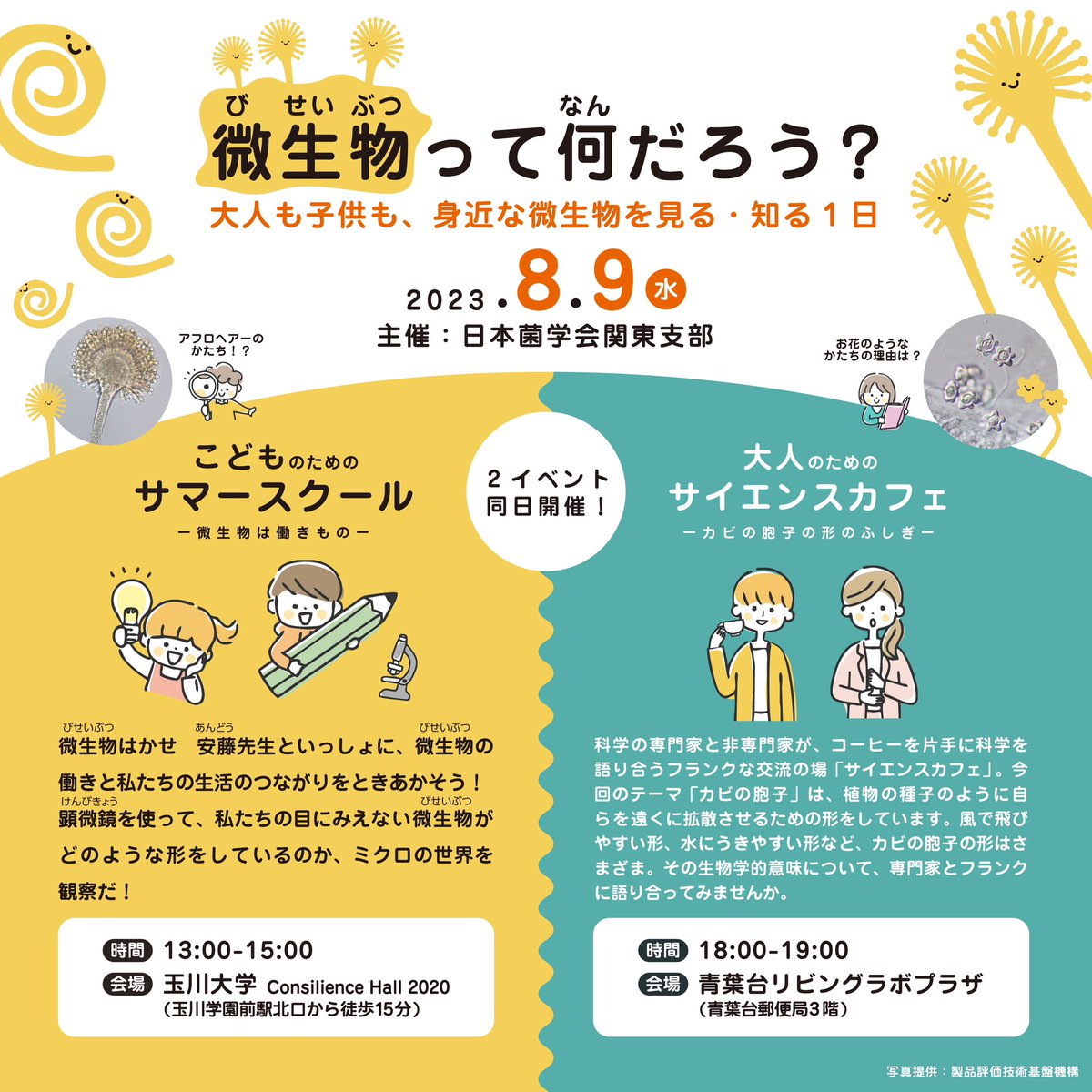 manabudesign's tweet photo. #青葉台リビングラボ にて「サイエンスカフェ」を開催します！

誰でも気軽に科学に触れ、対話できる #サイエンスカフェ。
今回は身近なカビの胞子を顕微鏡で観察し、専門家とともに知識を深めます✨

お申し込みはこちら⏬
https://t.co/ybp0YRGhvk https://t.co/BuQiUG3Q7A