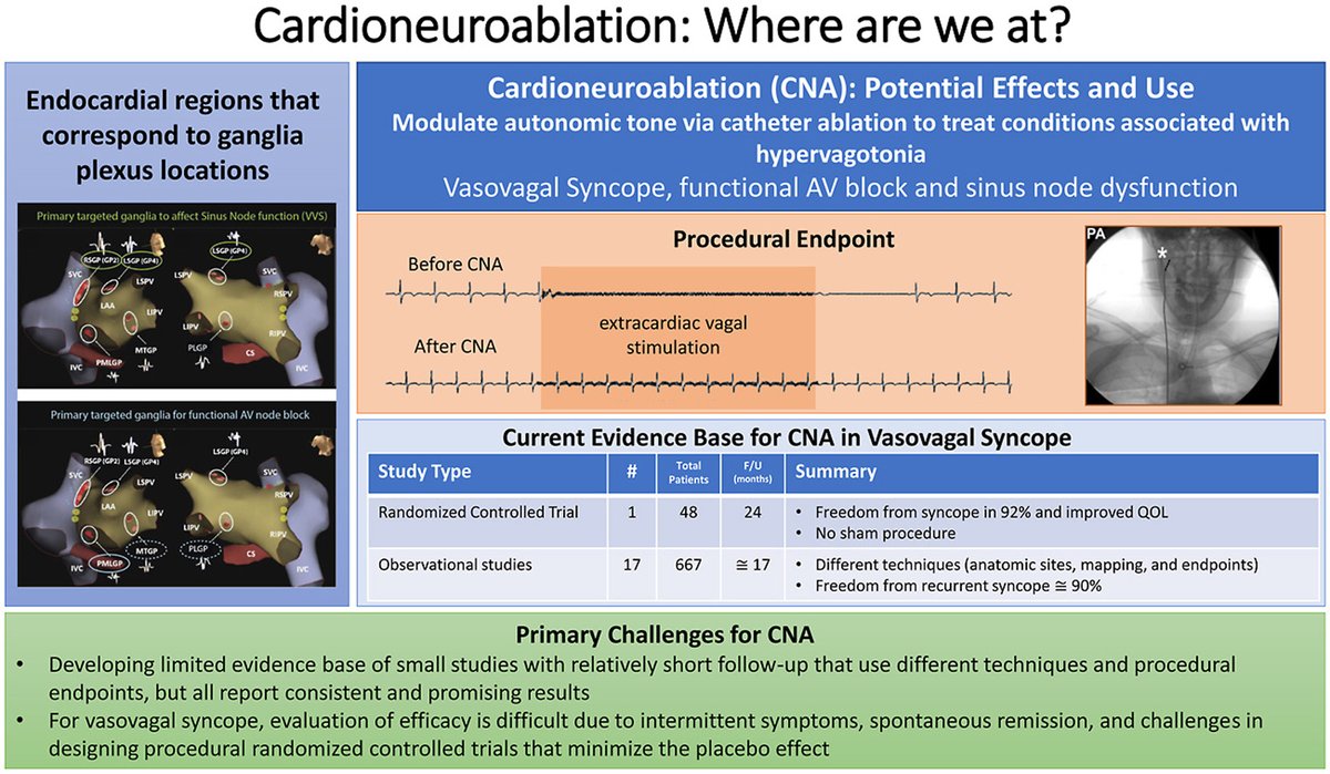 This year at #HRS2023 there were fascinating sessions on cardioneuroablation. It's an exciting potential strategy for modulating ANS. However, where are we in terms of clinical implementation & what are the knowledge gaps? Check out this insightful review article to learn more.