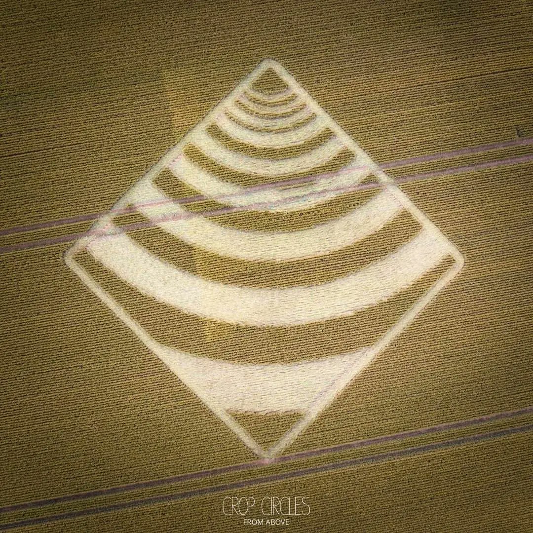 alikosmo's tweet photo. NUEVOS CROPS CIRCLE EN REINO UNIDO .

10 ° Nuevo #CropsCircles son reportados en #ChillandhamLane #Winchester #Hampshire #ReinoUnido elndia 4 de #Julio del 2023 .

2 #Agrogramas en el mismo lugar ,impresionante  !!
 
#ALIENSAVKOSMOS https://t.co/SrcdAm7DKL