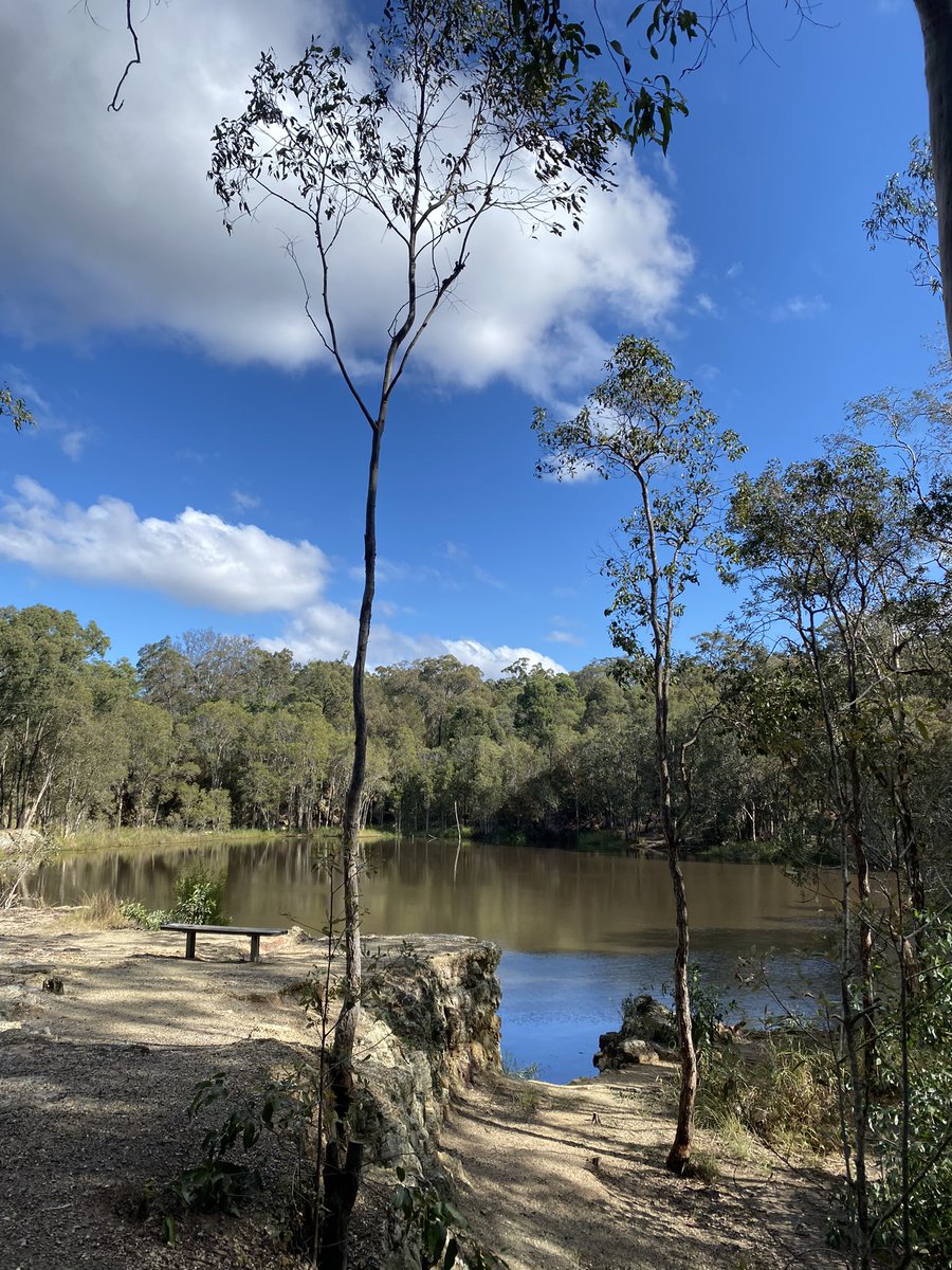 roaming_fox's tweet photo. We went for walk today in a quarry reserve opposite one of the supermarket shopping centers we frequent. Imagine my surprise when I looked up into the trees & spottedโฆnot a bird but a snake having a doze in the branches. Yikes! ๐ฑ ๐ #snake #wildlife #wildearth #oldquarry https://t.co/YUx4mz3AU0