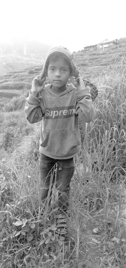 अब म यो घाम लाइ मुर्दा हाल्छु सर्कार  कालो पनो यति भैयो कि मलाइ देखेर भैसि पनि भाग्छ यार  कुरो