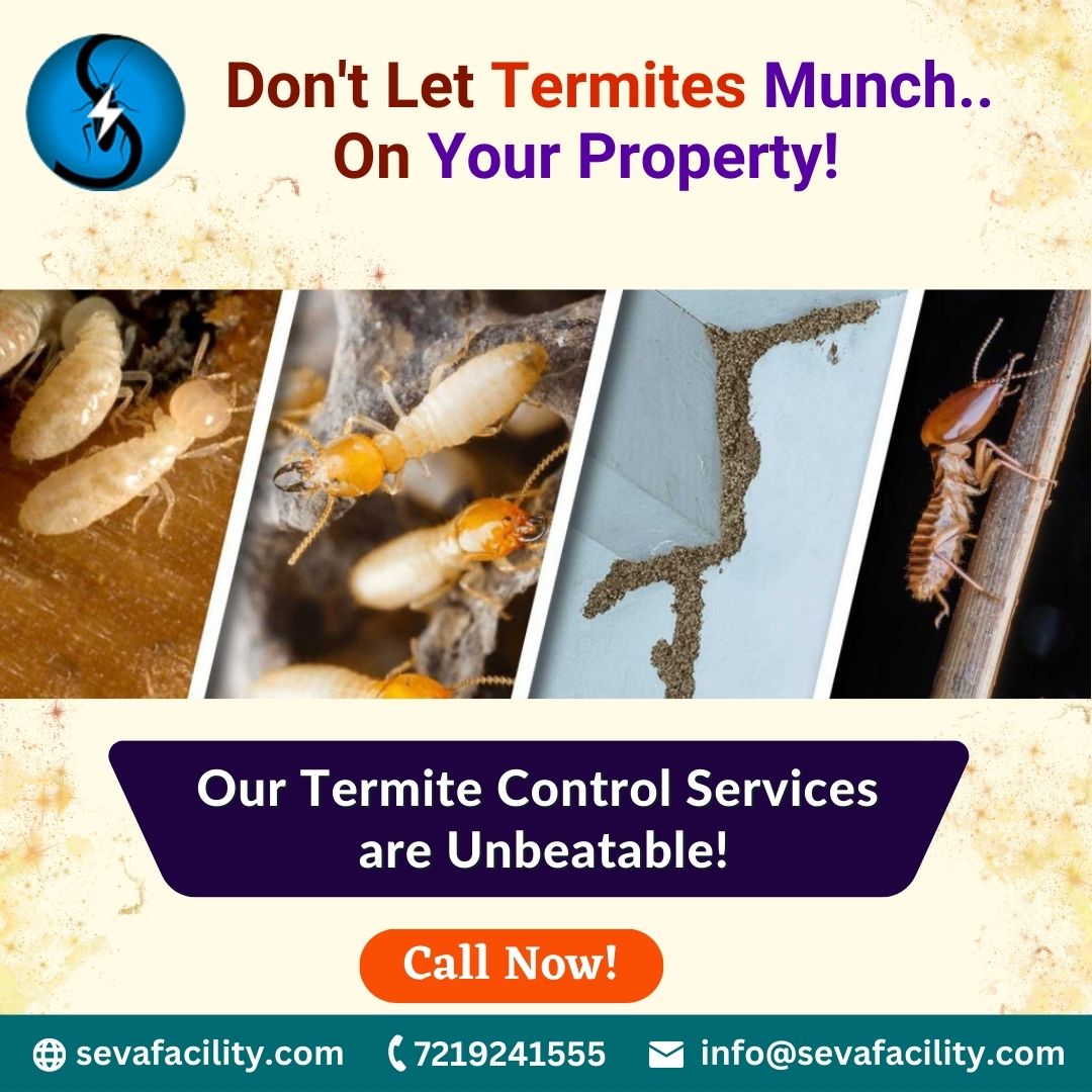sevafacility111's tweet photo. Don't let Termmites Munch..On Your Property!..Our Termite Control Services are Unbeatable!..Call Us Now
📲 Dial 7219241555 
🌐 Visit us at https://t.co/dzP96N0caQ
✉️ Email us at info@sevafacility.com
#SevaFacility #PestControl #sanitization #fumigation #Services #HeadOfficePune https://t.co/Qzy0om00AV