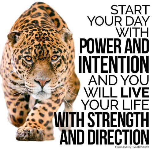 jossefaubert's tweet photo. NOW OR NEVER 🔟🛜☑️ https://t.co/3t1m6NmX47