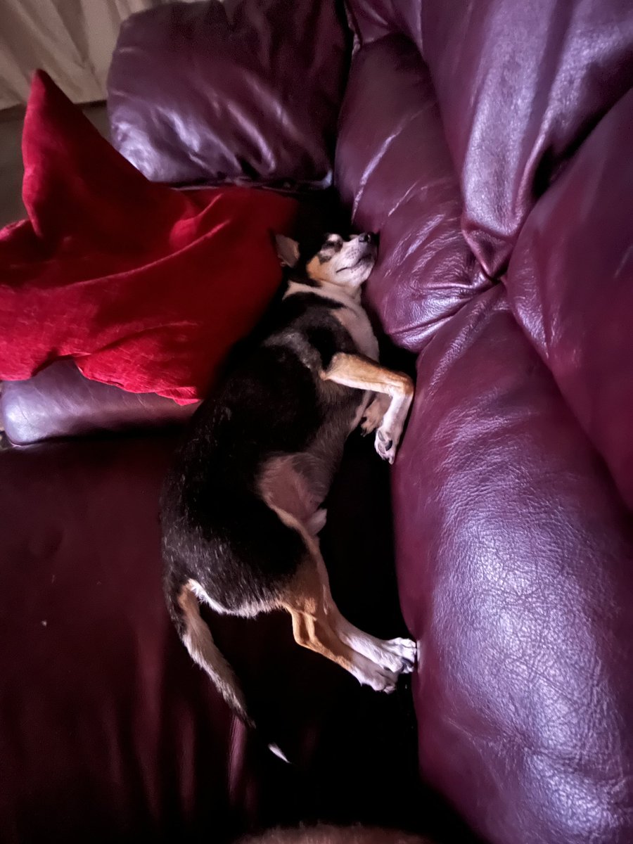 omygodryan's tweet image. 