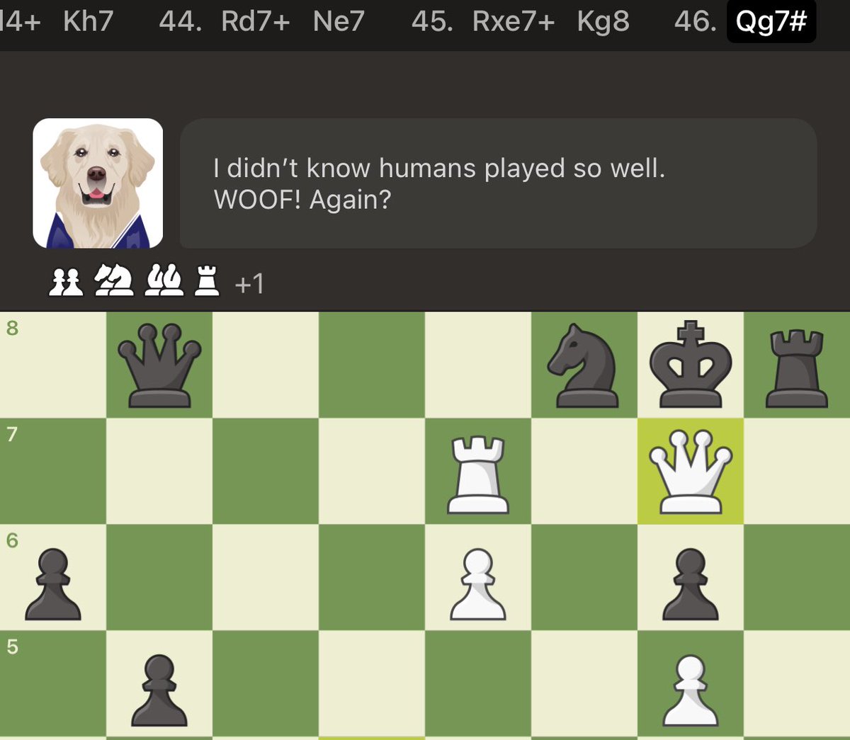ThroughtonsHeir's tweet image. Brilliant moves are most often game changers… mate in 2!
Vs the AirBud #ChessBot
@chesscom
