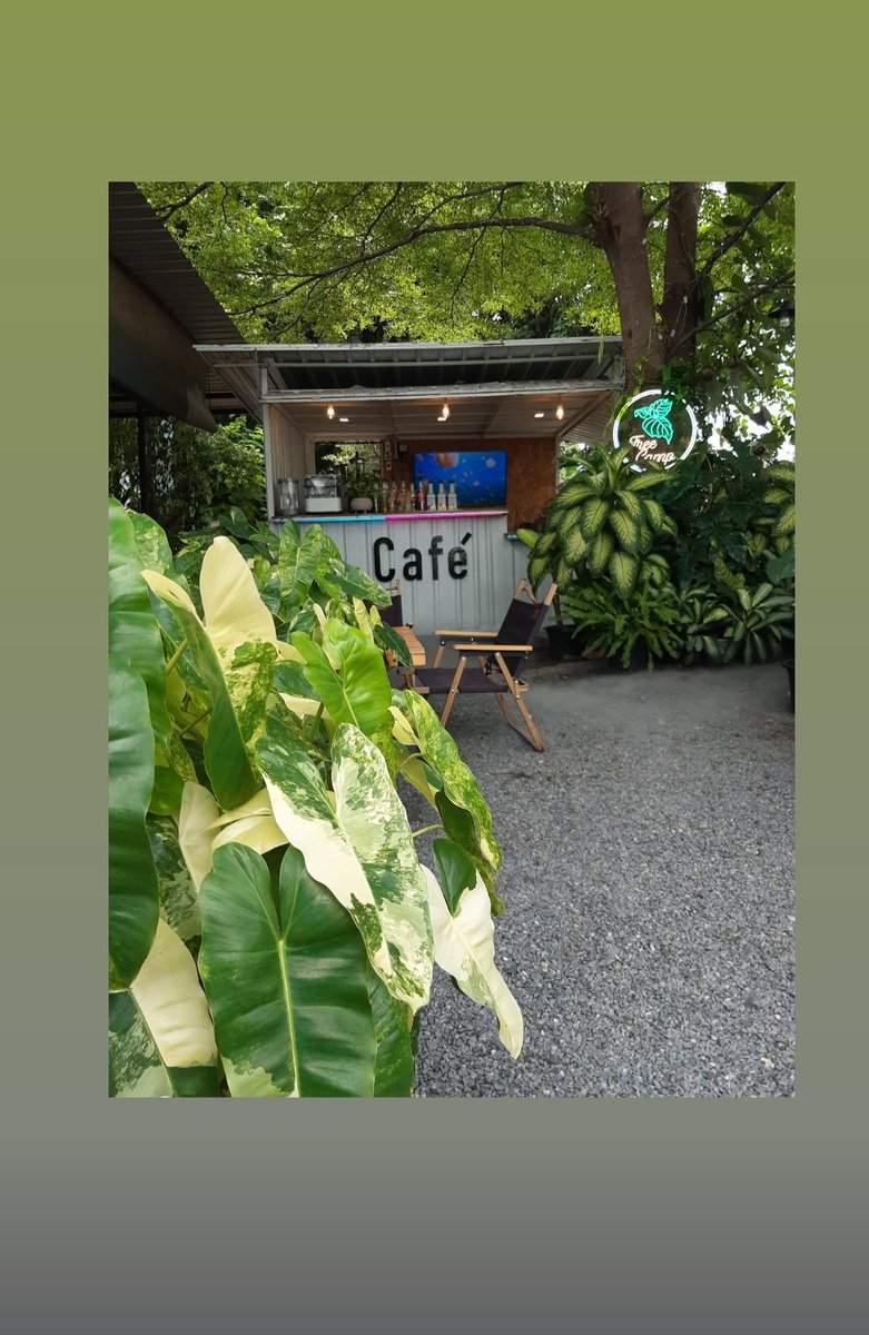 vuth_photo's tweet photo. Coffee
Tree Camp
ถ. นวลจันทร์56
#Photobyvuth #treecamp https://t.co/pZCzMot22i