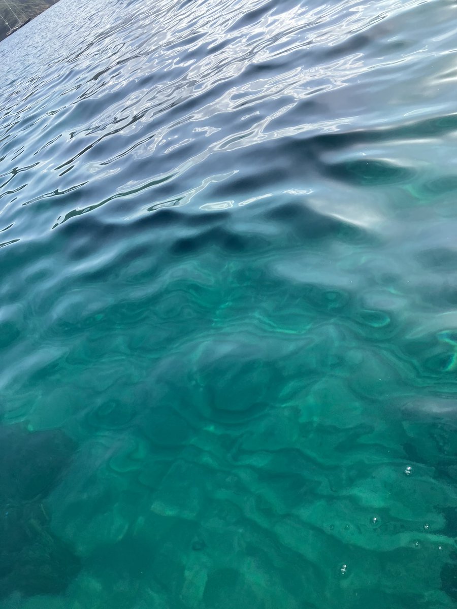 PrincyAle7's tweet photo. Sfumature di blu. https://t.co/itkVxlQIyq