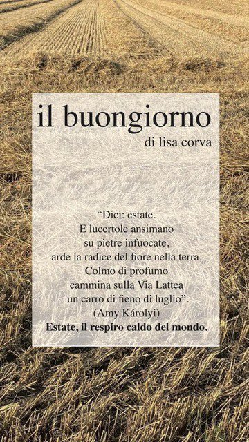 lisa corva tweet media