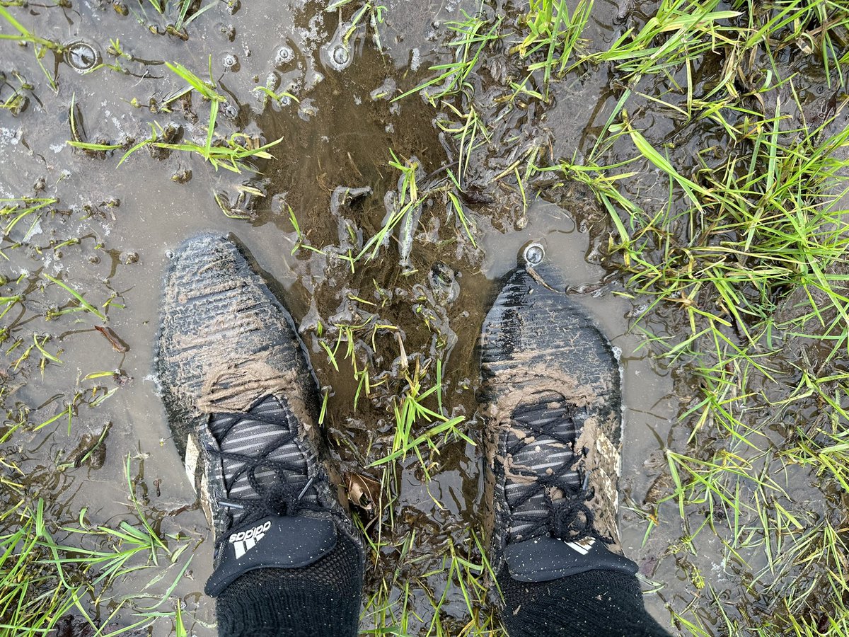 Was nice to get outside and play some swamp-golf today.
