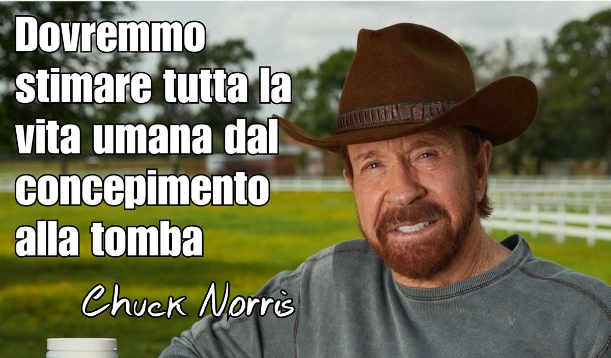 Simone Pillon tweet media