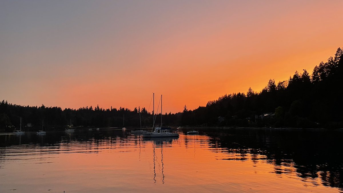 Matt Fraser (@mattfraserbooks) on Twitter photo 