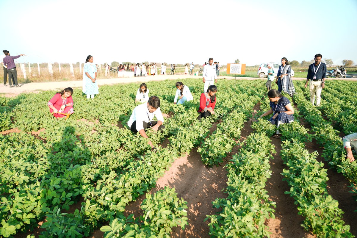 sr_university's tweet photo. When Books Meet Soil, BSc Agriculture students bridging the gap with hands-on learning!
#sru #sruniversity #BScAgriculture #FieldworkExplorers #GrowingBeyondClassrooms #KnowledgeBlooms #GreenRevolution #AgriTrailblazers #DiggingDeep #LearningInFullBloom #NurturingOurFuture https://t.co/ILsMHmfK5p