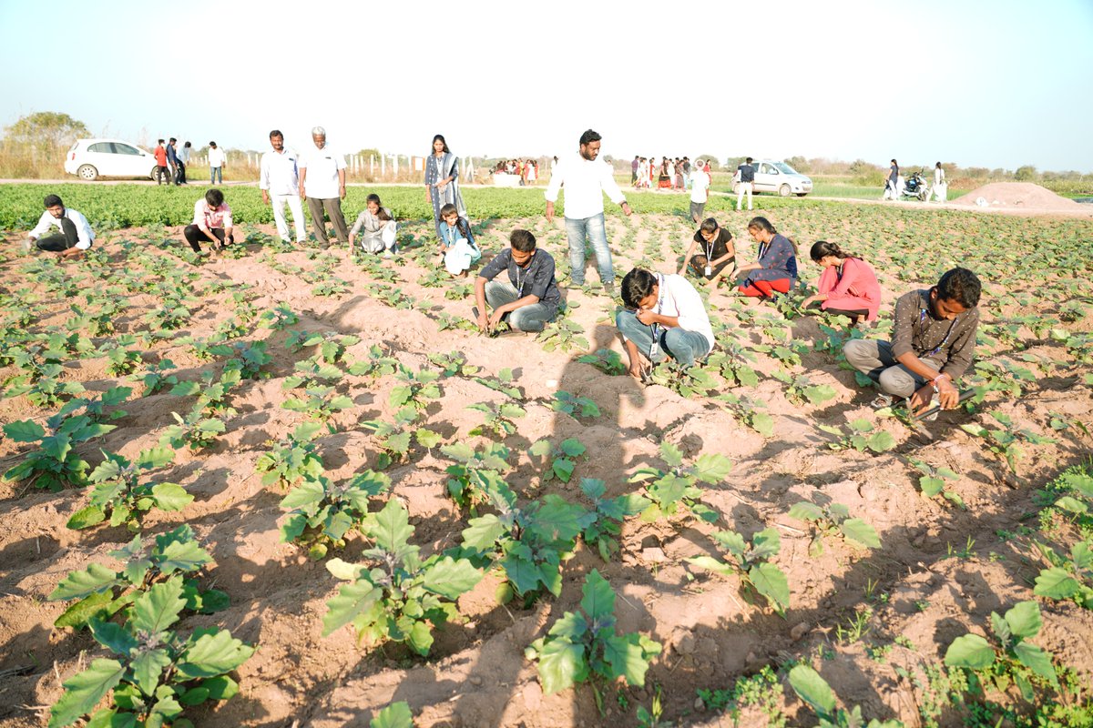 sr_university's tweet photo. When Books Meet Soil, BSc Agriculture students bridging the gap with hands-on learning!
#sru #sruniversity #BScAgriculture #FieldworkExplorers #GrowingBeyondClassrooms #KnowledgeBlooms #GreenRevolution #AgriTrailblazers #DiggingDeep #LearningInFullBloom #NurturingOurFuture https://t.co/ILsMHmfK5p