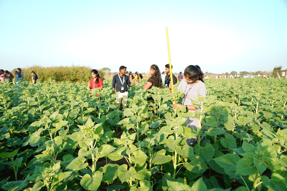 sr_university's tweet photo. When Books Meet Soil, BSc Agriculture students bridging the gap with hands-on learning!
#sru #sruniversity #BScAgriculture #FieldworkExplorers #GrowingBeyondClassrooms #KnowledgeBlooms #GreenRevolution #AgriTrailblazers #DiggingDeep #LearningInFullBloom #NurturingOurFuture https://t.co/ILsMHmfK5p