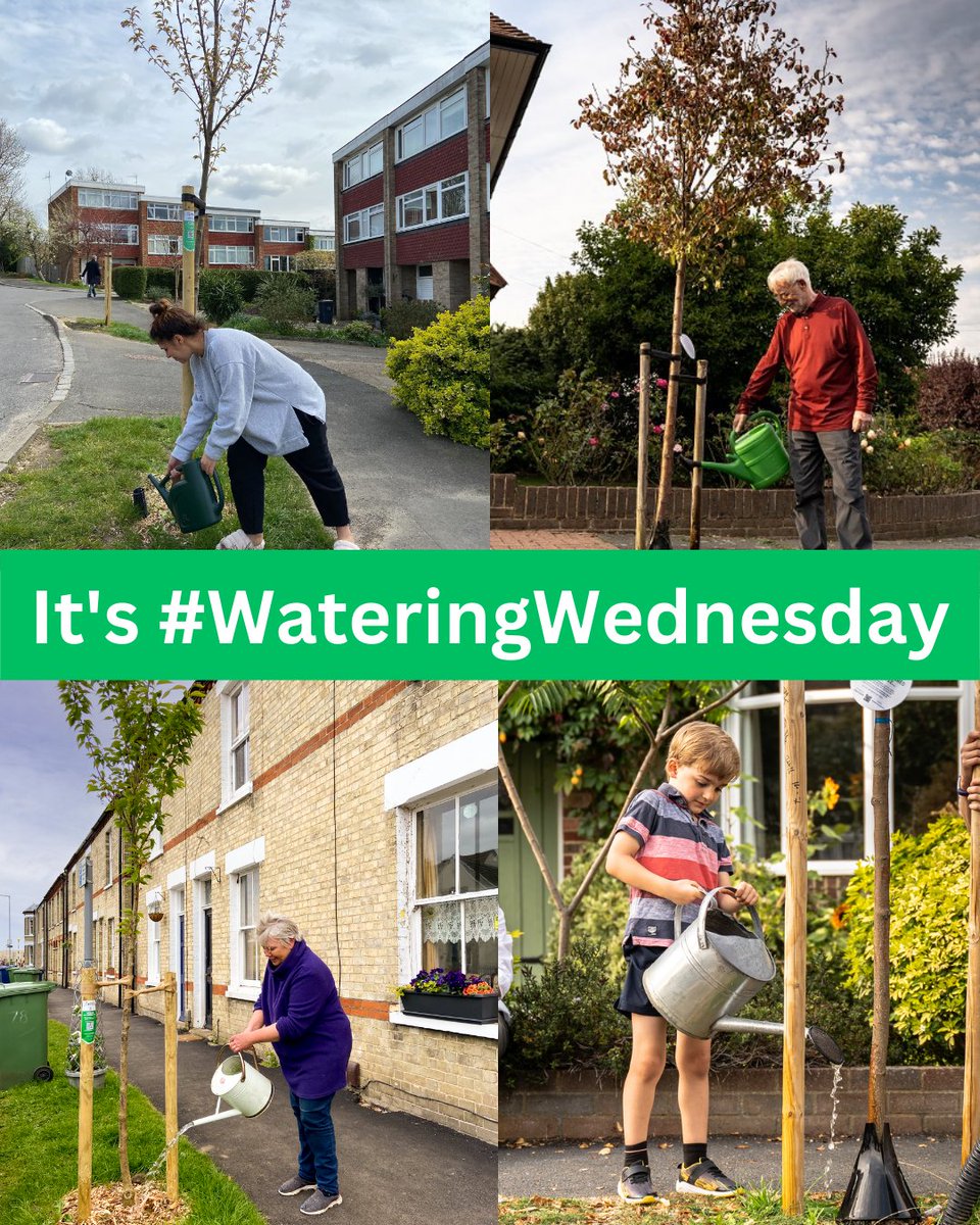 TreesforStreets's tweet photo. Join the campaign to get the nation🧑‍🤝‍🧑watering🚿its new street trees🌳

Every Wednesday we're putting out the call 📢 to give your nearest street tree a drink🌳🥤🥤

Your help makes all the difference🙏

It's #WateringWednesday

Big thanks to @guardian supporting this https://t.co/Prmo2gUDoD