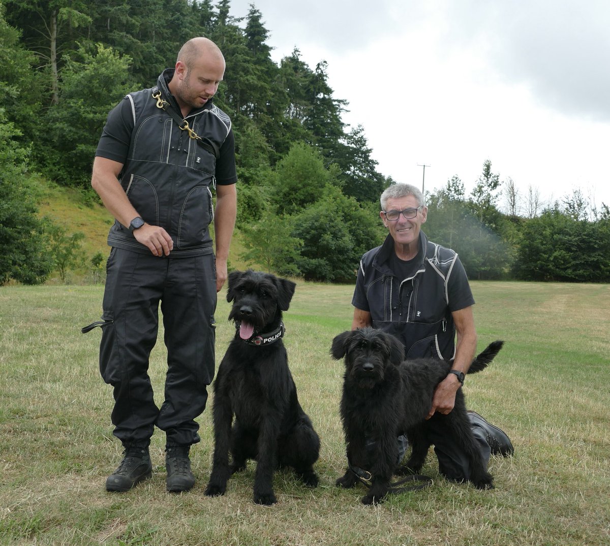 DC_Police Dogs ( Puppy Development Program) tweet media