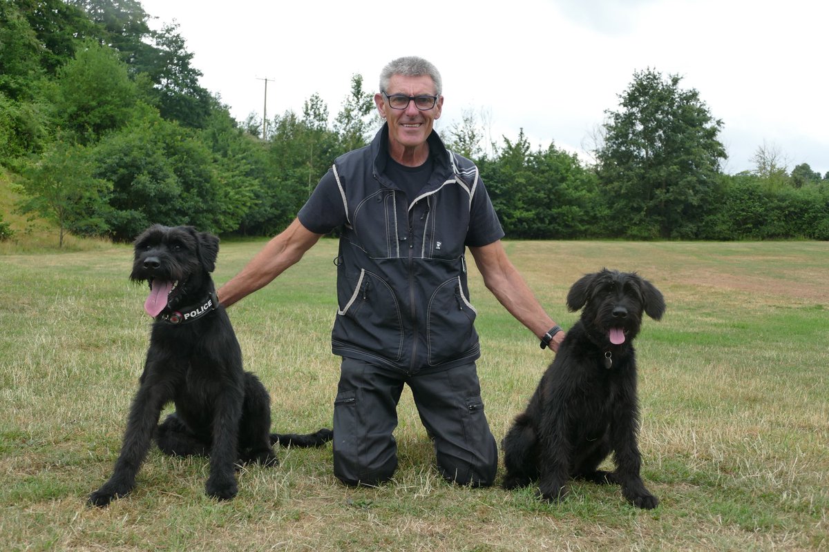 DC_Police Dogs ( Puppy Development Program) tweet media