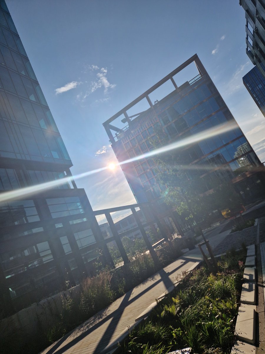 Liz Llewellyn tweet media