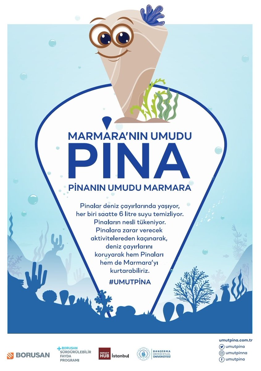 PİNALARI ÖLDÜRMEYİN!
Çınarlı sahilinde Pina ölüleri görünüyor. Pinaları toplamayın!
Pinalar deniz çayırlarında yaşıyor, her biri saatte 6 litre suyu temizliyor. Pinaların nesli tükeniyor. +
#marmaradenizi #pina #benimmarmaram #marmarahepimizin
