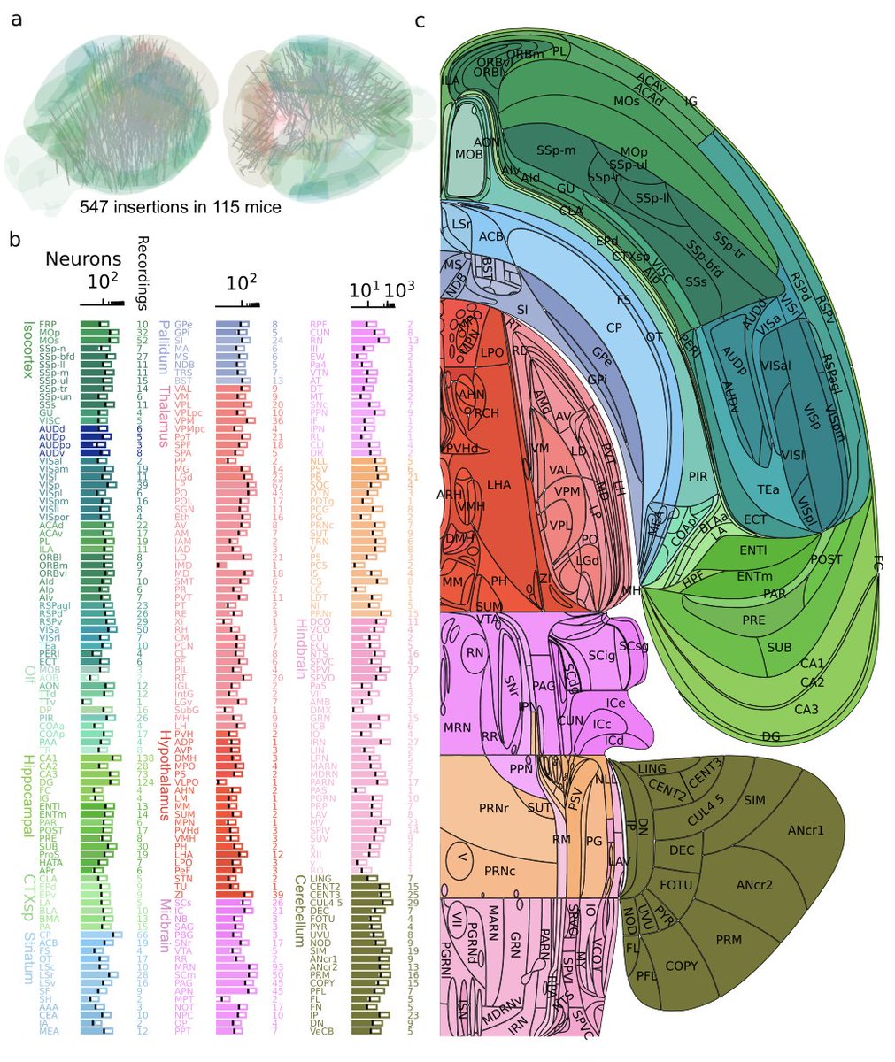 sl_neuro's tweet photo. New big open dataset resource to link computations across and within brain areas to decision-making #neuropixels #ephys during #decisionmaking, by @IntlBrainLab, @MatteoCarandini
@anne_churchland, @kennethd_harris, @svoboda, @pouget_alex, @EngelTatiana ... https://t.co/mODfp1VCau https://t.co/7zcwROL7Fs