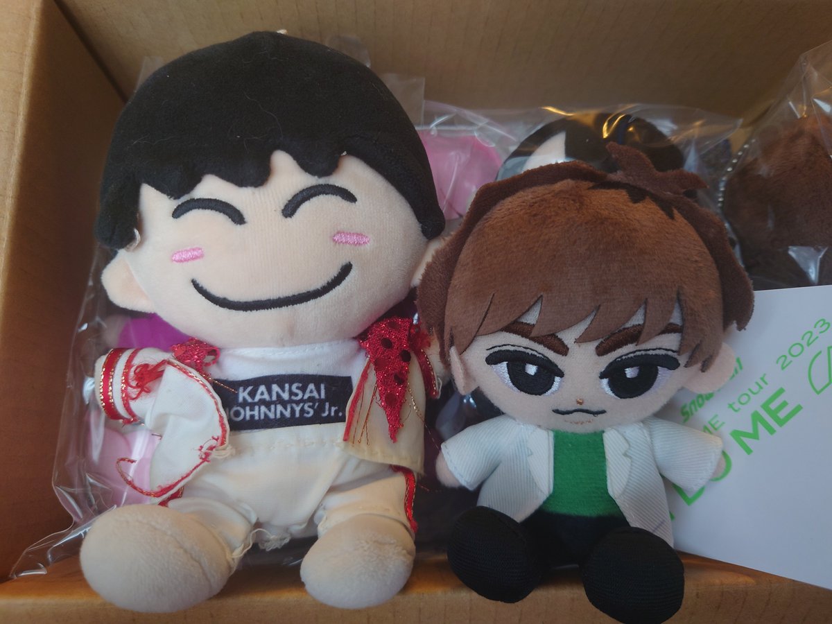 peppermint_r's tweet photo. すのチルぬい、関ジュのちびぬいと比べるとサイズ感こんぐらい！ちみこい！あとサプライズプレゼントも入ってた〜〜早くみんなの元にも届け〜〜〜！！😭😭😭😭😭 https://t.co/1GXX9UIMnr