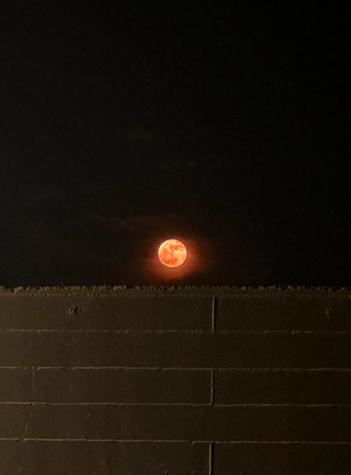 Una luna muy bien intencionada ✨ https://t.co/sFrGa63acF<a href="/tag/newprofilepic"class="tags"><span>#newprofilepic</span></a>