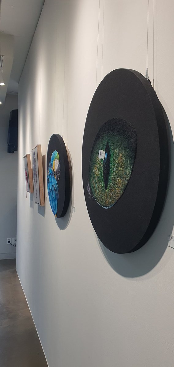 Magnetar tweet media