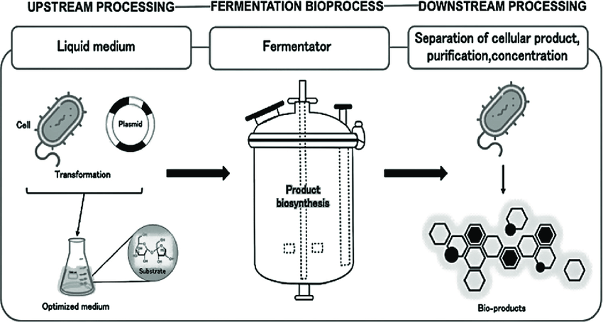 A #bioprocess is any process that uses complete living cells or their components (e.g., #bacteria, #enzymes, chloroplast) to obtain desired products. This process is commonly referred to as #Fermentation.
#industry 
#CallForSubmissions
Submission: bit.ly/442M0tU