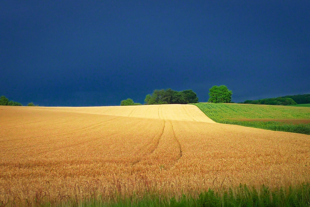 Mon_Grand_Est's tweet image. Quand l'orage d'été approche...
📸 #Altkirch
Découvrez la campagne du #Sundgau sur le blog &amp;gt;&amp;gt;  mon-grand-est.fr/sundgau/
.
.
.
#FrenchMoments #VisitAlsace #ToutelAlsace #MagnifiqueFrance #ExploreFrance