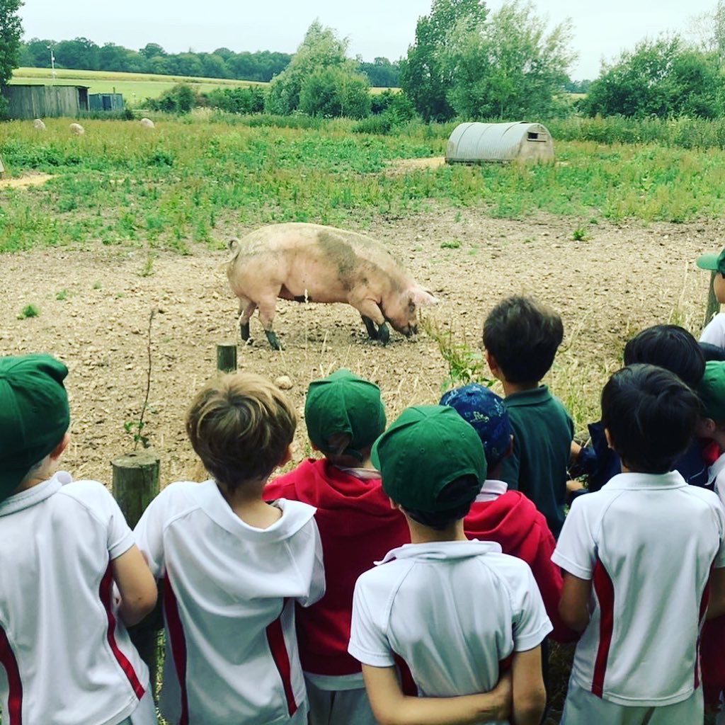 Reception headed to @willowsactivityfarm last week to spend the day outdoors learning all about agriculture. #willowsactivityfarm #receptiontrip #earlyyearseducation #preprep #arnoldhouseschool