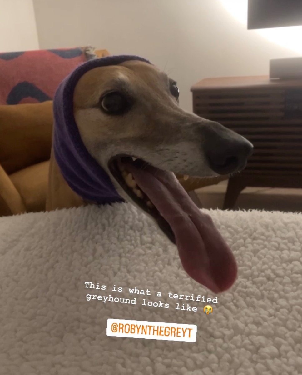 chexee's tweet image. She is not 😭