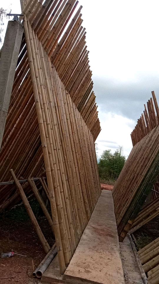 dreamvillage6's tweet photo. Rwanda's Bamboo Products! 🇷🇼📸 showcasing a variety of bamboo products, such as furniture, home decor, and crafts.@Imboni_creative @INBARofficial @AndrewTandeka1 #MadeInRwanda #Bamboo #SustainableLiving #EcoFriendlyDesign #BambooMagic #NaturalBeauty #GreenLiving #BambooProducts https://t.co/hWSsegnSff