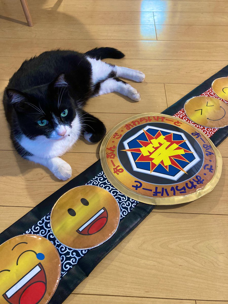 ssm_yokosuka046's tweet photo. 8日の武勇伝にて復活するお笑いゲートの新ベルトの〜

製作というのか〜組み立てというのか〜

八木さんに最後丸投げされたので、私が責任を持って完成させました😮‍💨笑

しっかり横須賀屋のタグも縫い付けておきました👉🏷️

果たして暫定王者の市川大先生はこのベルトを守れるかな？

#武勇伝_令 https://t.co/vDIBeilGIO