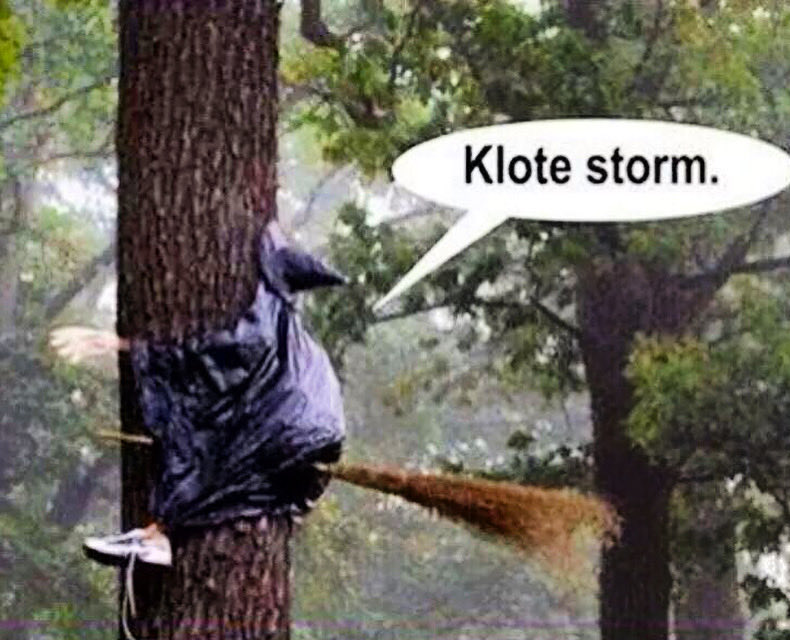 Tim Coronel tweet media