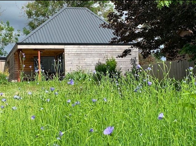 July Bulletin - eepurl.com/iuVT36