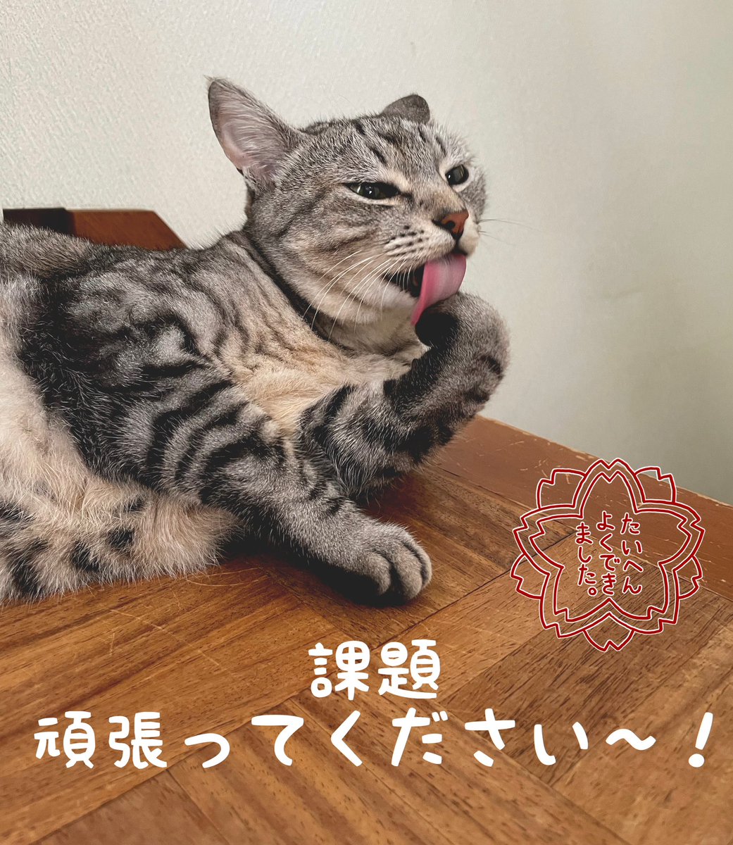 今日は嵯峨美術大学さんで背景、パースの講義をして来ました!色々詰め込んで話してしまったのでパンクしているかと思います😅わからない所ありましたらメールやリプなどでぜひ聞いてみてください〜🙌今日話した内容はこちらの本にも載ってます!→ https://t.co/bZYu4ckfLs 
