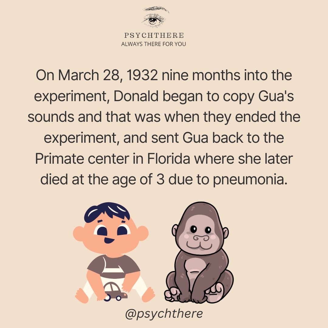 PsychThere's tweet photo. Gua, a female chimpanzee, was raised alongside a human baby as part of a bizarre experiment by scientists Luella and Winthrop Kellogg. The baby was their own son, Donald
Follow @PsychThere to know more.! 

#ICAI #icairesults #storm #Zaporizhzhia #MacysFireworks #NCTDREAMinBRAZIL https://t.co/QsIulvCBUQ