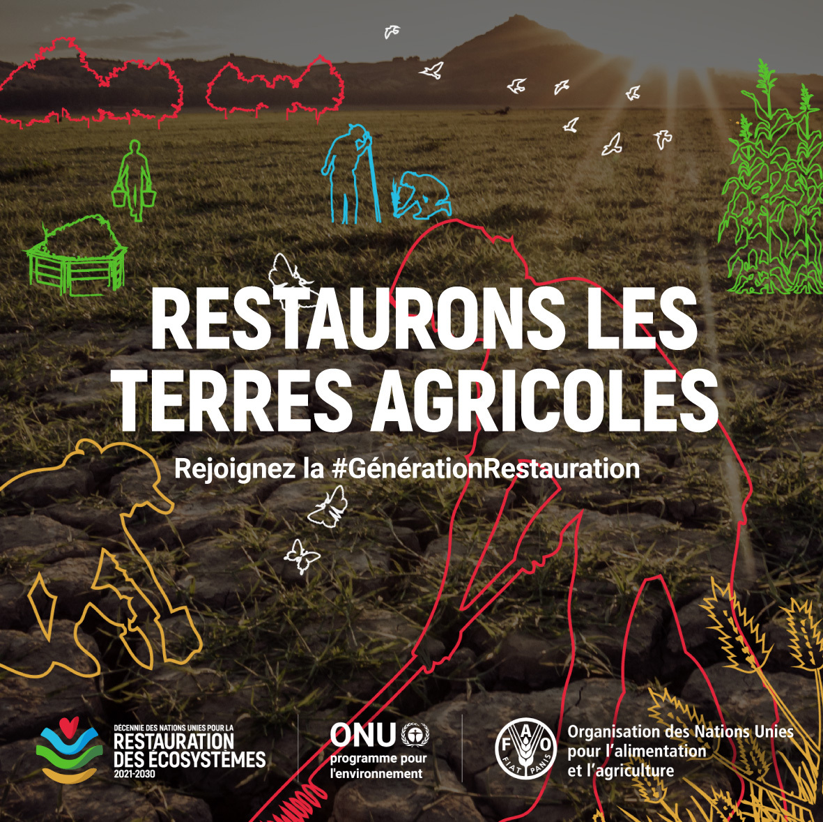 Les écosystèmes abritent toutes les formes de vie sur terre.
La restauration de la nature contribuera à
🟢 Augmenter les revenus des agriculteurs
🟢 Augmenter la résilience
🟢 Assurer la sécurité alimentaire
🟢 Sauver nos sols et nos abeilles
Plus d'infos: decadeonrestoration.org/fr