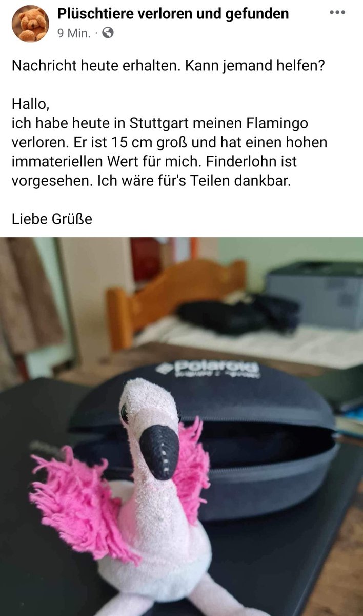 Falls jemand in Stuttgart unterwegs war und einen einsamen Flamingo gefunden hat - er gehört zu mir😭 @stuttgarttweets <a href="/stuttgart_stadt/">Stadt Stuttgart</a> <a href="/reflect_Magazin/">re.flect Magazin</a> <a href="/StZ_NEWS/">Stuttgarter Zeitung</a>
