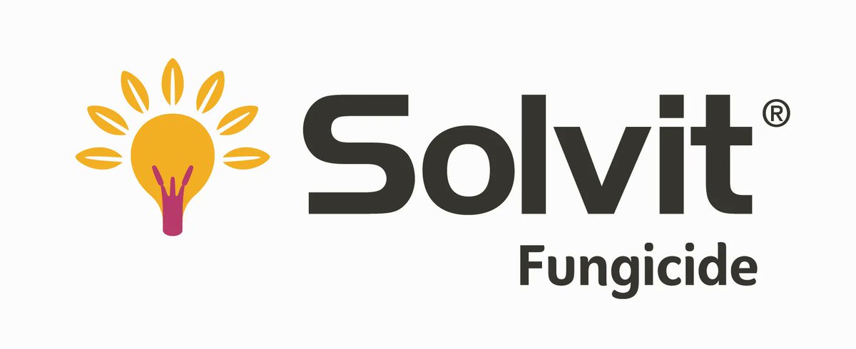 The active ingredients in Solvit, Fenpropidin and Penconazole, both inhibit sterol biosynthesis but at different sites interrupting the disease cycle. They have a high translaminar activity and are absorbed rapidly by the plant. 
Read more > buff.ly/43GI2Yd