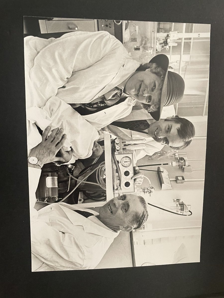 Sylvia Penny tweet media