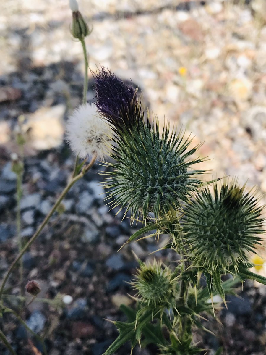 Günaydın
Mutlu günler dostlar…💛💙🌹🌹🌹☕️☕️