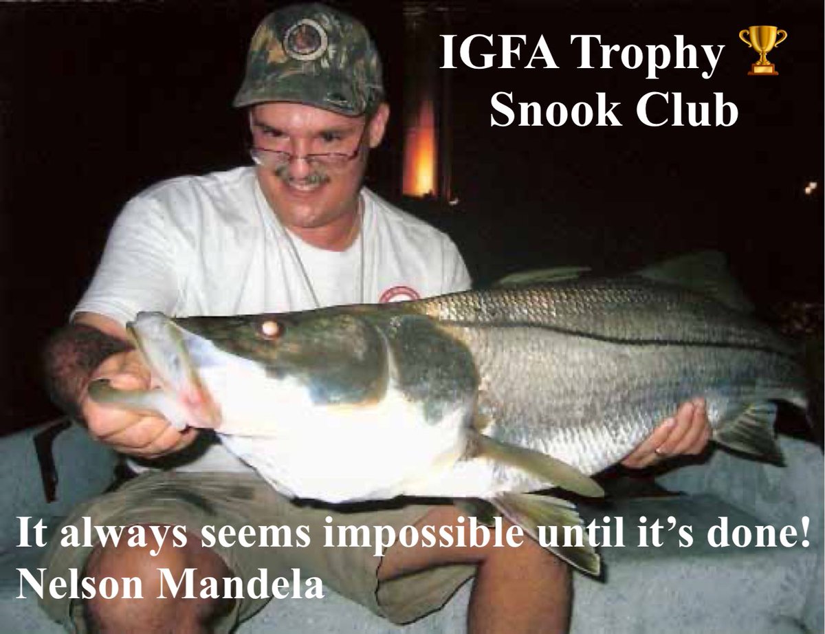 beachsnooker's tweet photo. When I became a member of the prestigious @TheIGFA Trophy π Snook Club @beachsnooker @doaluresusa using a #369 Terroreyz #Goals #Snook #FishingGoals #RecordBook #IGFA #CCAFlorida @DickieV @MarkhamCapt @KeepFLFishing @FlatsClass @FL_Sportsman @FIFRTV @Moganman @mike_Iaconelli β
https://t.co/QTIsna358j
