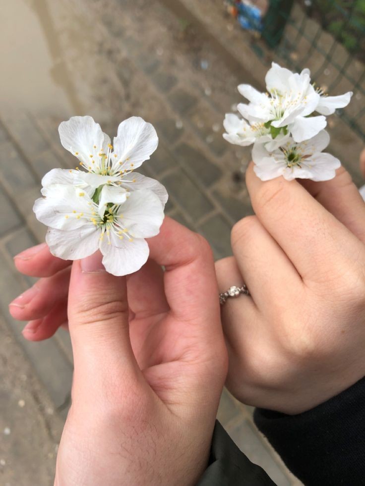 boygon3b4d's tweet photo. would you be my flower ¿ — and he said yes ! 🩵 

so now, @chochogun and @boygon3b4d are in relationship . 

05/07 at midnight https://t.co/WIiFozZESW