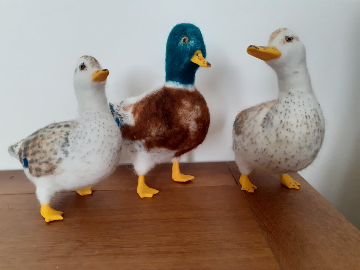 DobsonBruce's tweet photo. Just completed this needle felted Commission Made up from my clients photos to capture all distinguishing features and markings 
#Commissions #ducks #poultry #needlefelting https://t.co/hjs0VJECxi