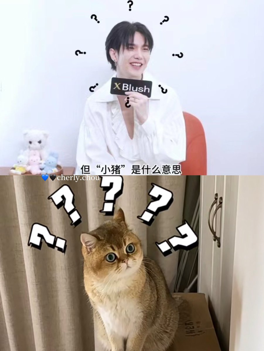 cherly_chou's tweet photo. 金建成：“小猪” 是什么

XBLUSH WITH BUILD 
#xblushmagazinexbuild
@JakeB4rever @Build_FamilyFC
#BuildJakapan #Beyourluve
@JakeB4rever https://t.co/jRYsBdDk3g