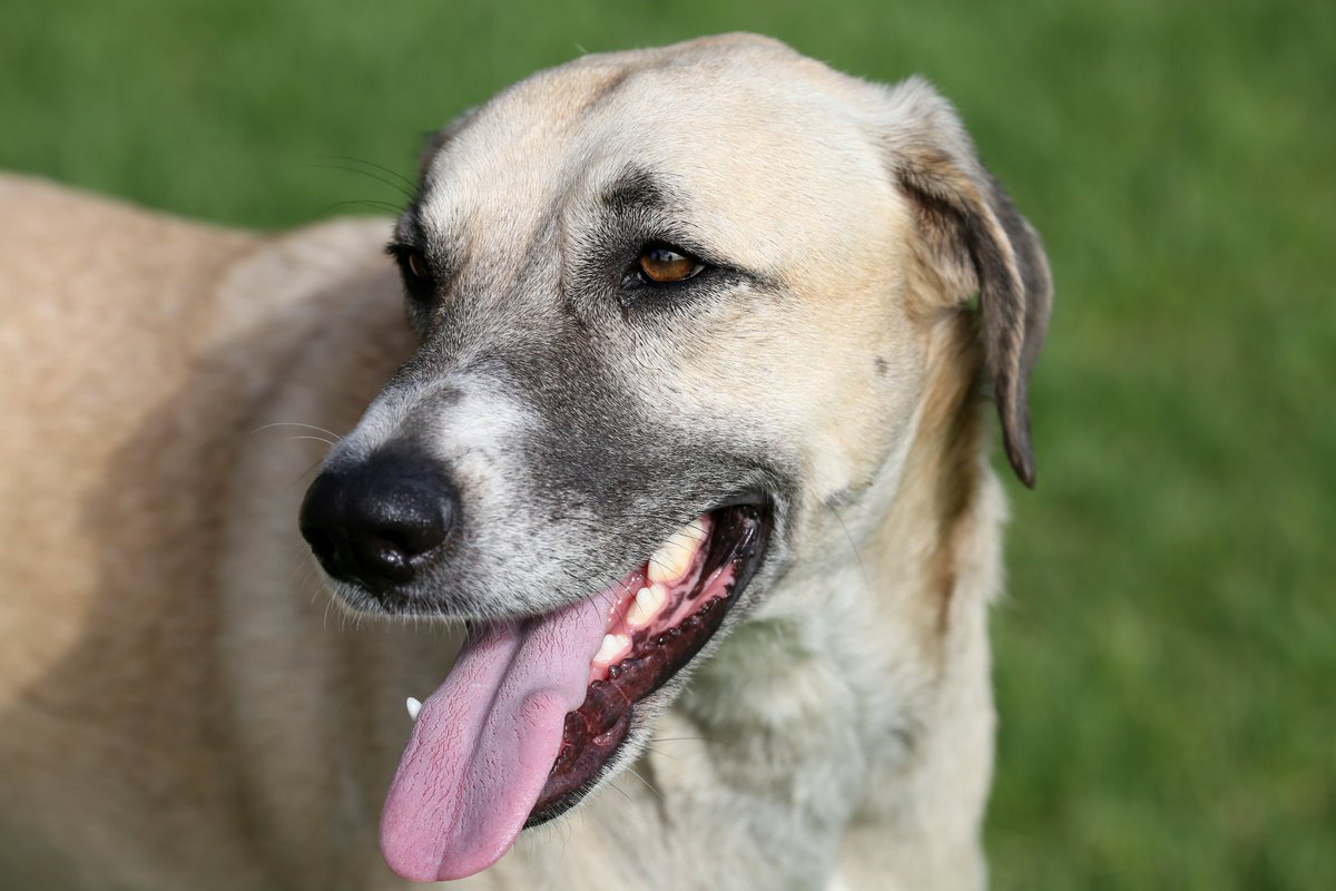 Tara Turkington tweet media