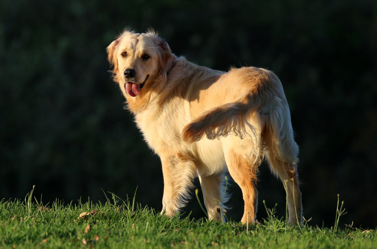 Tara Turkington tweet media